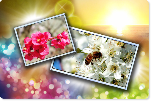 Sunlight Readable LCD